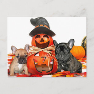 Carte Postale Chiens de taureaux français d'Halloween