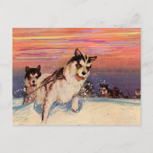 Carte Postale Chiens de traîneau husky sibériens des années 1940