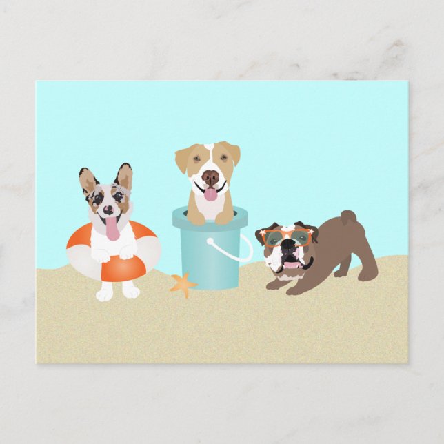 Carte Postale Chiens d'été de plage Bleu Orange (Devant)