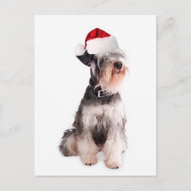 Carte Postale Chiens Ditzy~Carte Postale Originale~Schnauzer Min (Devant)