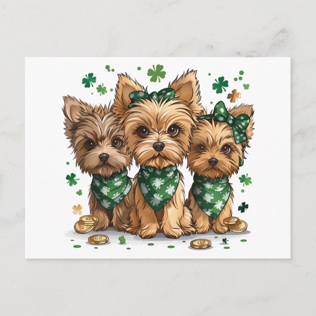 Carte Postale Chiens du Yorkshire Terrier de la Saint-Patrick (Devant)
