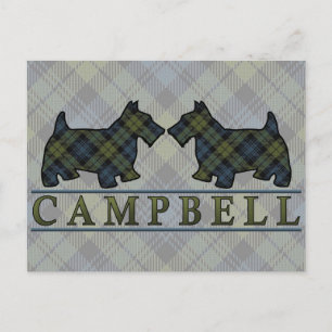 Carte Postale Chiens écossais Campbell Tartan