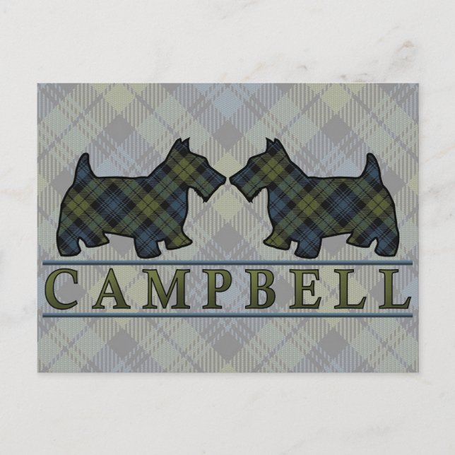 Carte Postale Chiens écossais Campbell Tartan (Devant)