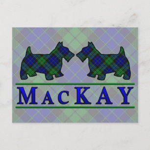 Carte Postale Chiens écossais Clan MacKay Tartan