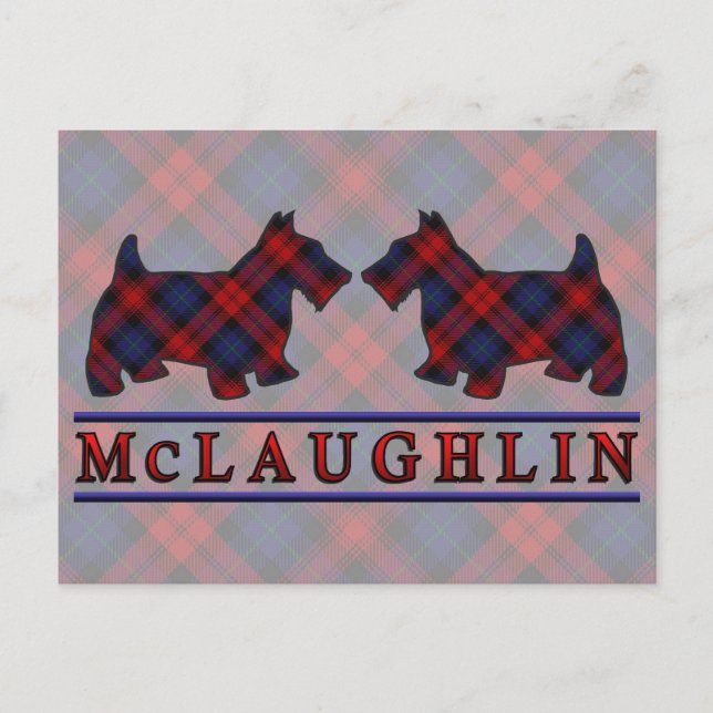 Carte Postale Chiens écossais Clan McLaughlin MacLachlan Tartan (Devant)