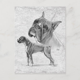 Carte Postale Chiens en boîte
