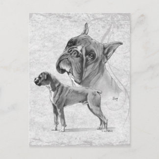 Carte Postale Chiens en boîte
