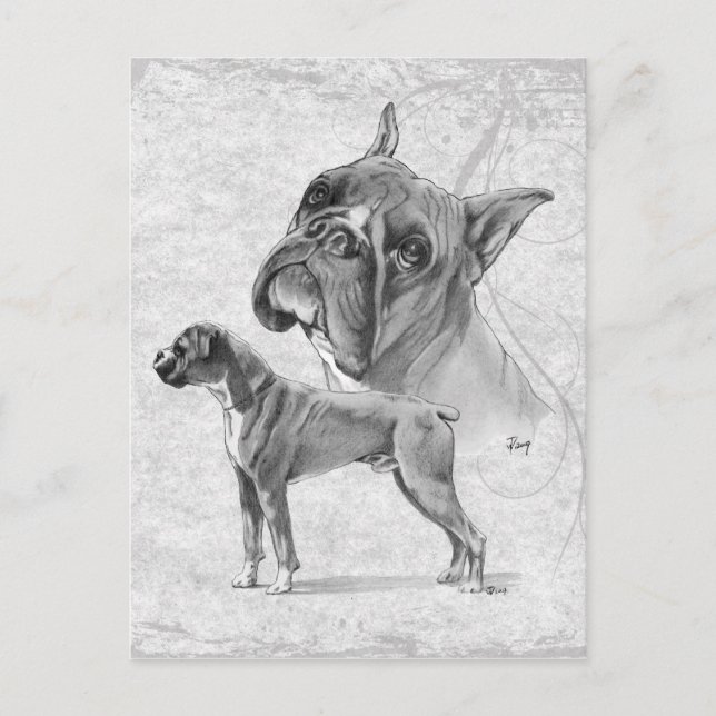 Carte Postale Chiens en boîte (Devant)