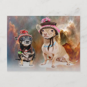 Carte Postale Chiens en Casquette