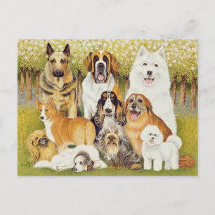 Carte Postale Chiens en mai