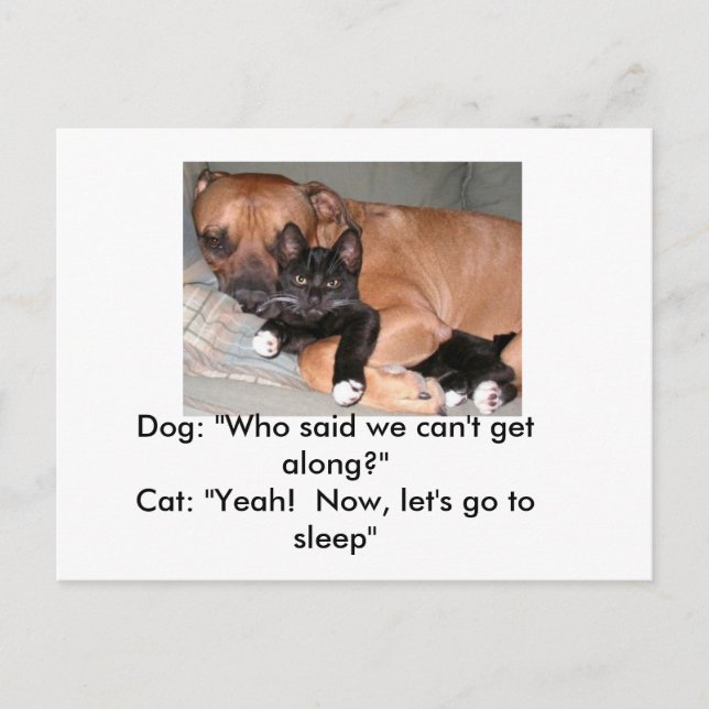 Carte postale Chiens et Chats (Devant)