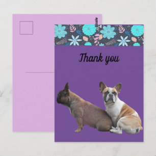 Carte Postale chiens français bulldog merci French Bulldog
