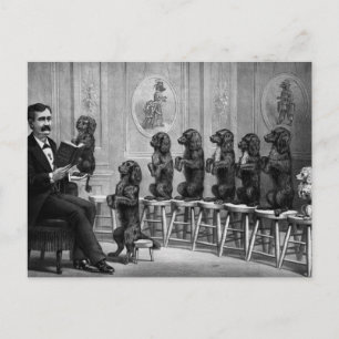 Carte Postale Chiens instruits
