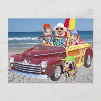 Carte Postale Chiens / laboratoires sur la plage en bois