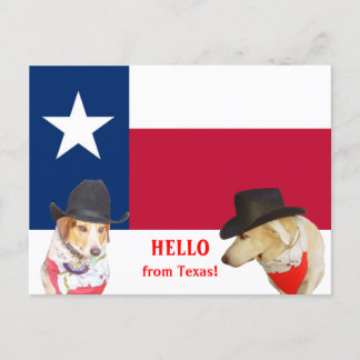 Carte Postale Chiens mignons Bonjour du Texas !
