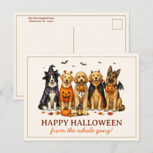 Carte Postale Chiens mignons en costumes Halloween