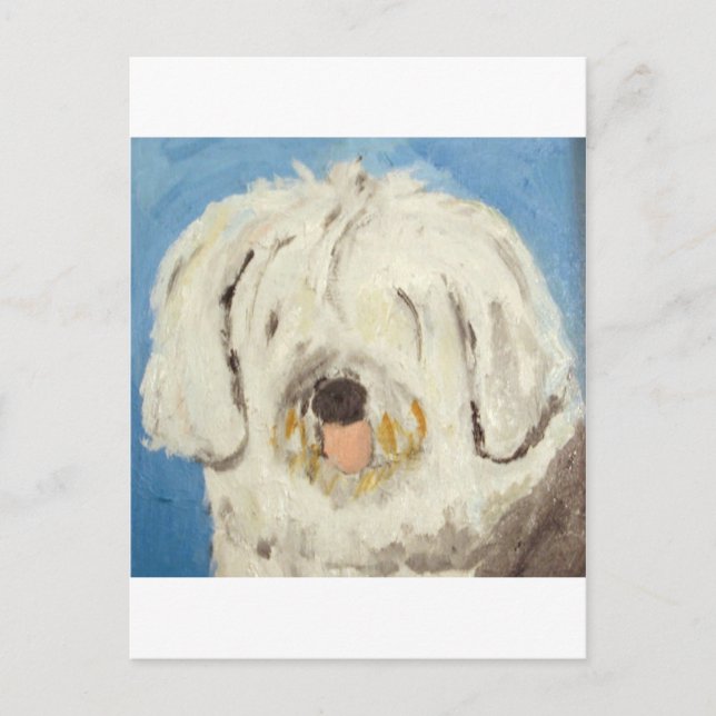 Carte Postale chiens par eric ginsburg (Devant)