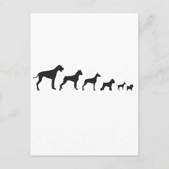 Carte Postale Chiens, petits et grands (Devant)