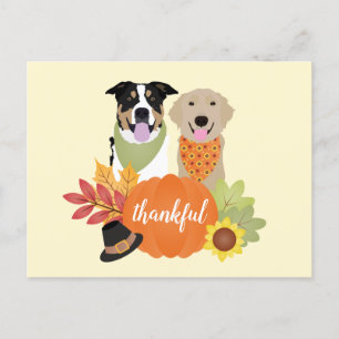 Carte Postale Chiens reconnaissants citrouilles de récolte de Th