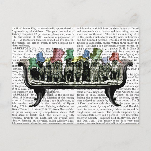 Carte Postale Chiens sur Sofa (Devant)