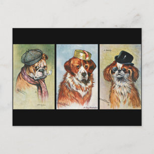 Carte Postale Chiens, triptyque de dessin animé