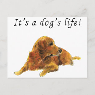 Carte Postale Chiens Vie Cute Golden Retriever Aquarelle Art