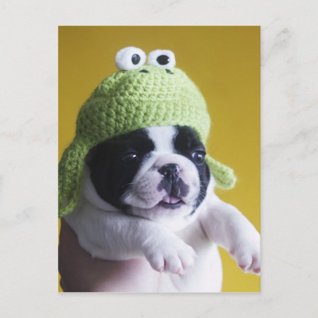 Carte Postale Chiffre de taureau français (Devant)