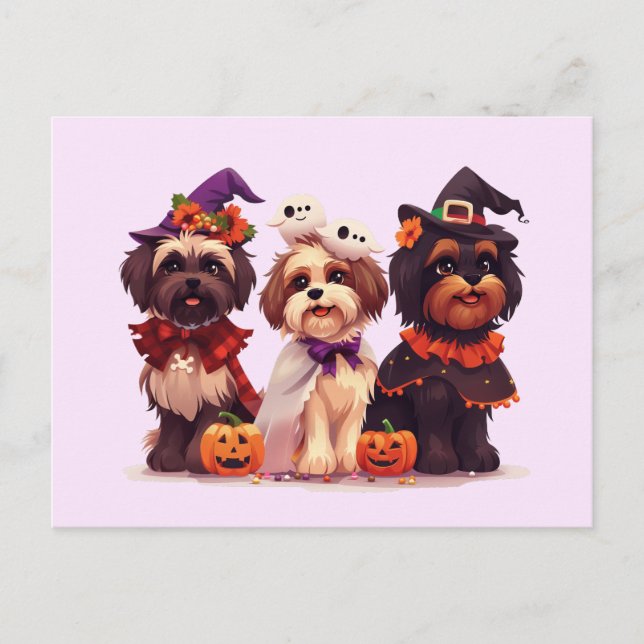 Carte Postale Chih Tzu Chih Halloween (Devant)