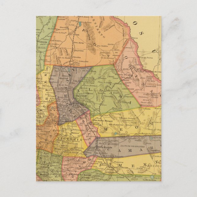 Carte Postale Chihuahua (Devant)