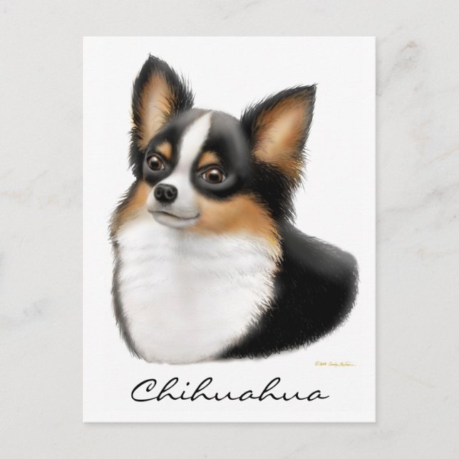 Carte postale Chihuahua (Devant)