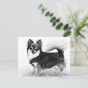 Carte Postale Chihuahua - Art fin original