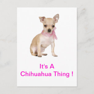 Carte Postale Chihuahua C'est un Chihuahua