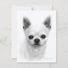 Carte Postale Chihuahua - Chien réaliste