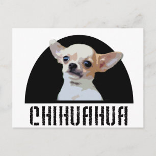 Carte Postale Chihuahua Chig