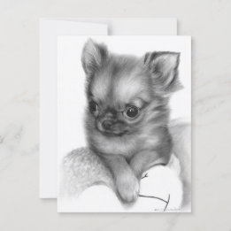 Carte Postale Chihuahua Chiuppy peint à la main - Jeu doux