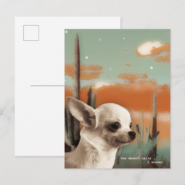 Carte Postale Chihuahua dans le désert (Devant / Derrière)
