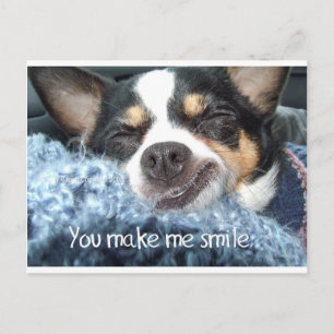 Carte Postale Chihuahua Dog sourire