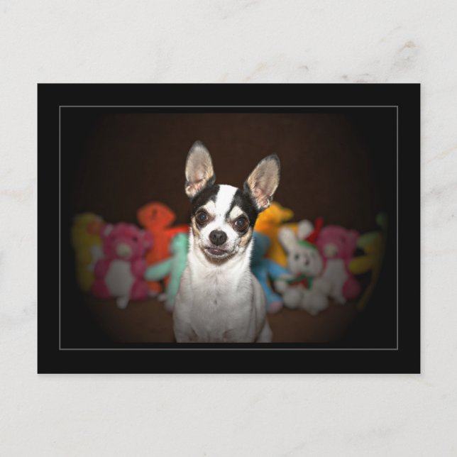 Carte Postale Chihuahua et jouets (Devant)