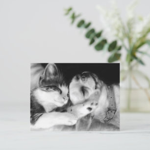 Carte Postale Chihuahua et peinture de chats primés "Amis"