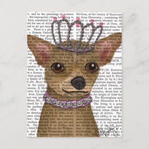 Carte Postale Chihuahua Et Tiara