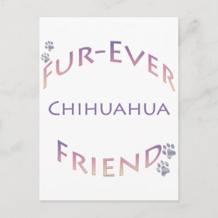 Carte Postale Chihuahua Furever