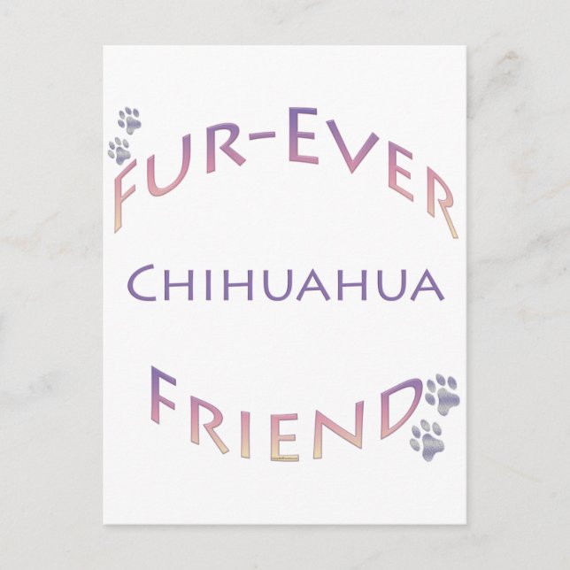 Carte Postale Chihuahua Furever (Devant)