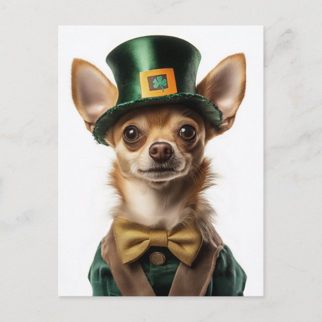 Carte Postale Chihuahua habillé Leprechaun Saint Patrick (Devant)
