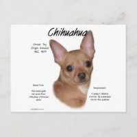 Chihuahua (lisse)