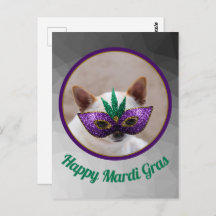 Chihuahua mignon Happy Mardi Gras masque étincelan