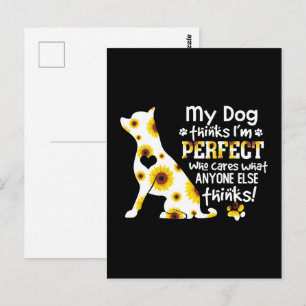 Carte Postale Chihuahua My Dog pense que je suis parfait qui se