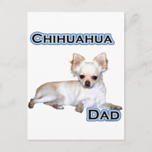 Carte Postale Chihuahua Papa 4
