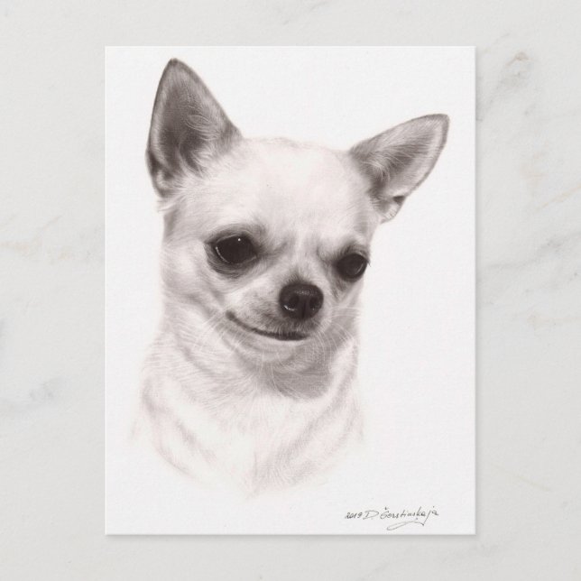 Carte Postale Chihuahua peint à la main (Devant)