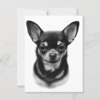 Carte Postale Chihuahua Peint à la main Portrait pour animaux