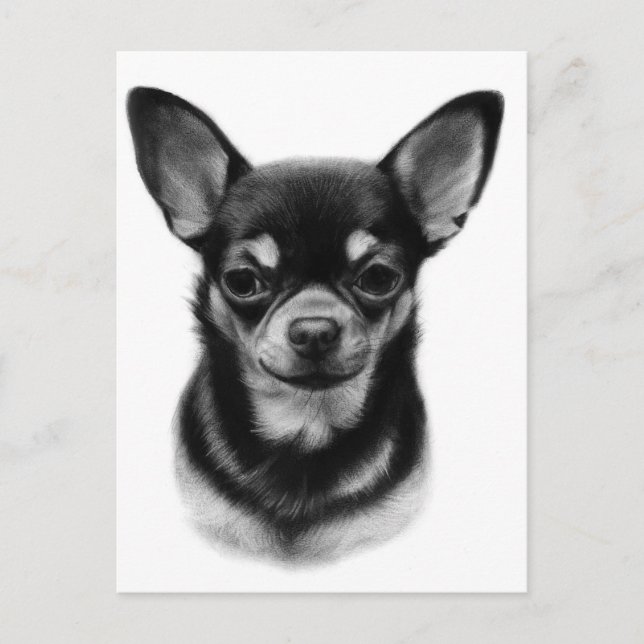 Carte Postale Chihuahua Peint à la main Portrait pour animaux (Devant)